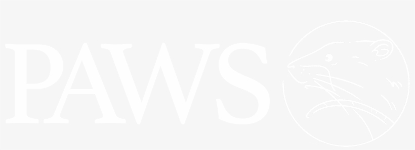 Developed With Support From - Choctaw Casino Logo Png, transparent png #3360429