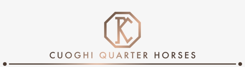 Passion - Stallions - Horse, transparent png #3361690