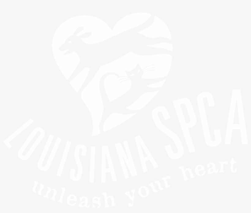 Nufenenpass, Sign, transparent png #3362921