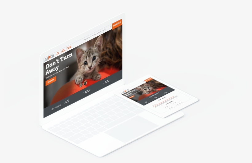 Main - Tablet Computer, transparent png #3363161