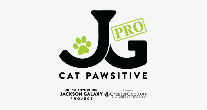 Provide A Cat A Kuranda Bed - Jackson Galaxy Cat Pawsitive, transparent png #3363231