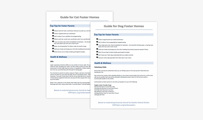 Customizable Guides For Cat & Dog Foster Homes - Pet Adoption, transparent png #3363760