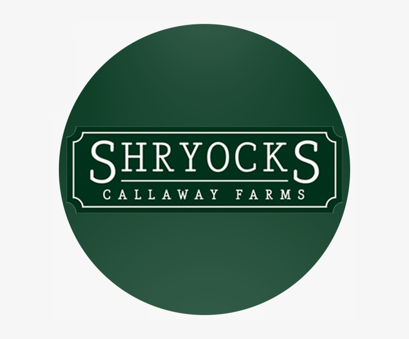 "dak And The Team At Hub & Spoke Did An Amazing Job - Circle, transparent png #3364154