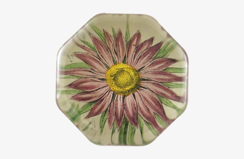 Pink Aster Pink Aster - Gazania, transparent png #3365609