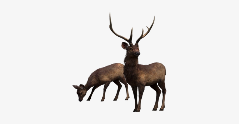 Far Cry - Far Cry 4, transparent png #3365730