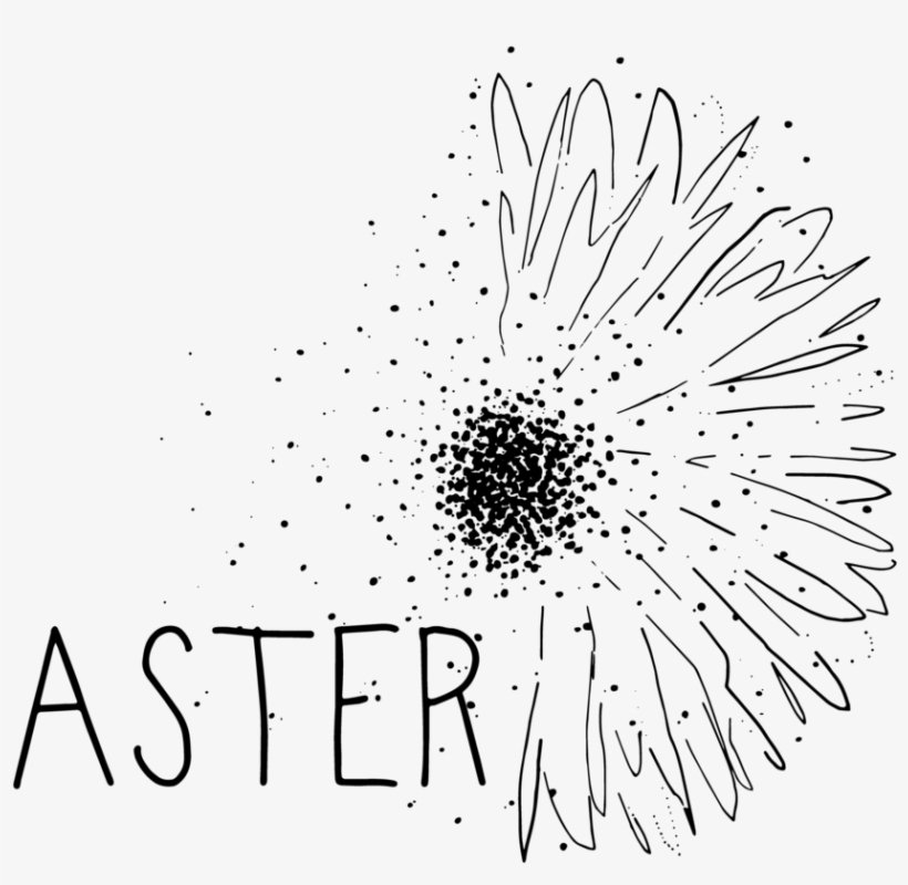 Aster 2 - Aster, transparent png #3365928