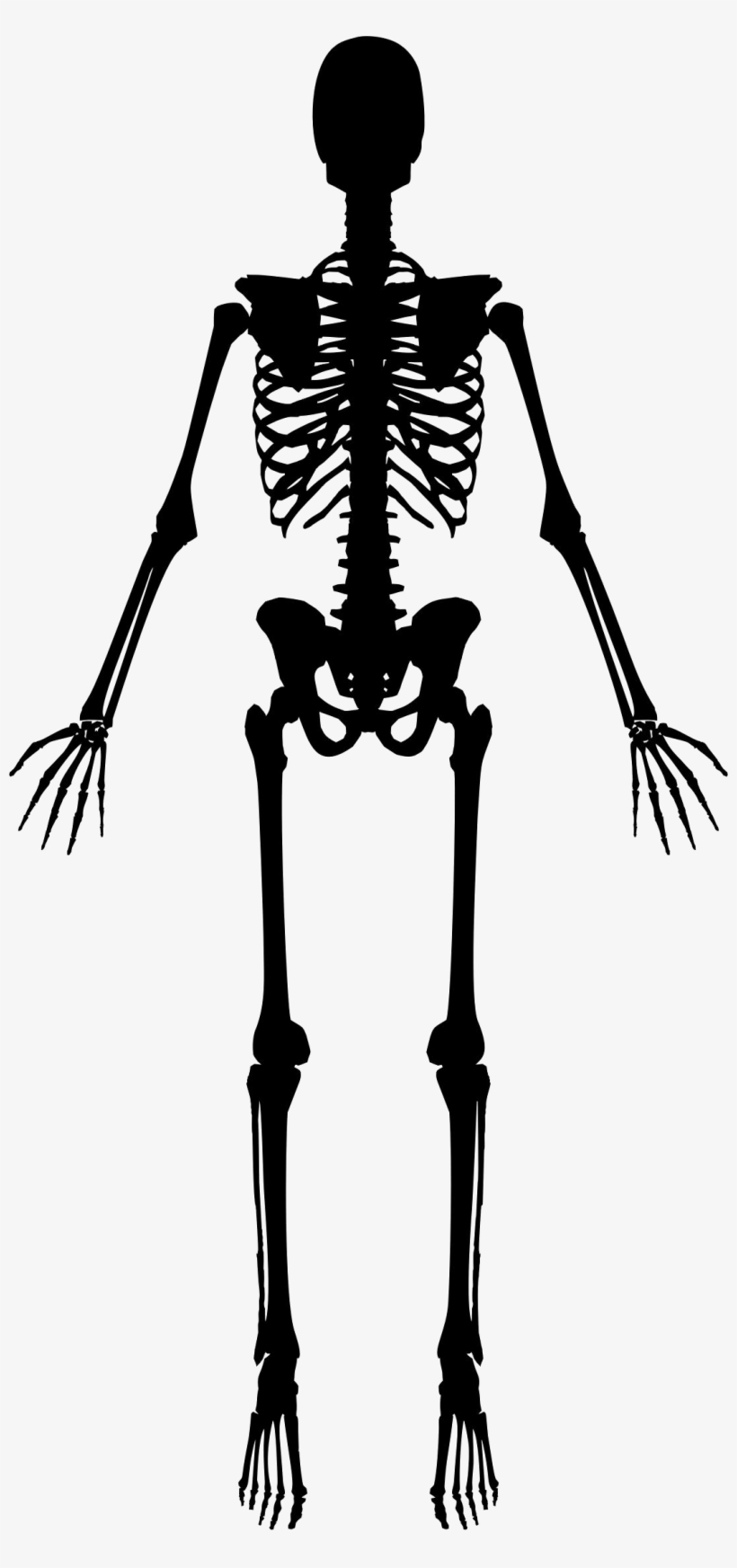 Skeleton Silhouette Png, transparent png #3366102