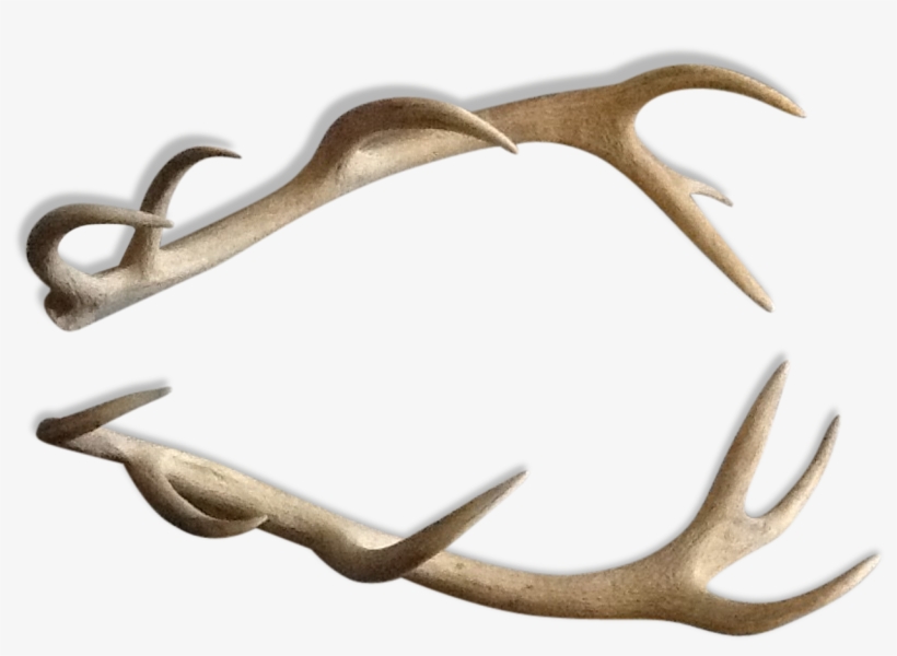 Deer, transparent png #3366188