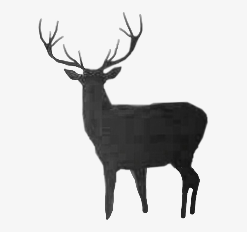 Deer, transparent png #3366194