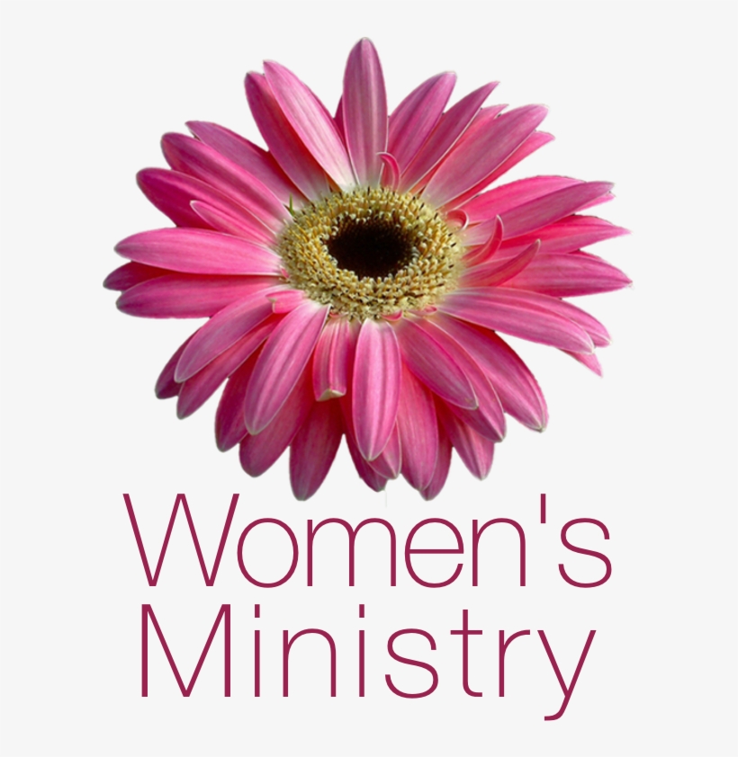 Women's Ministry, transparent png #3366370