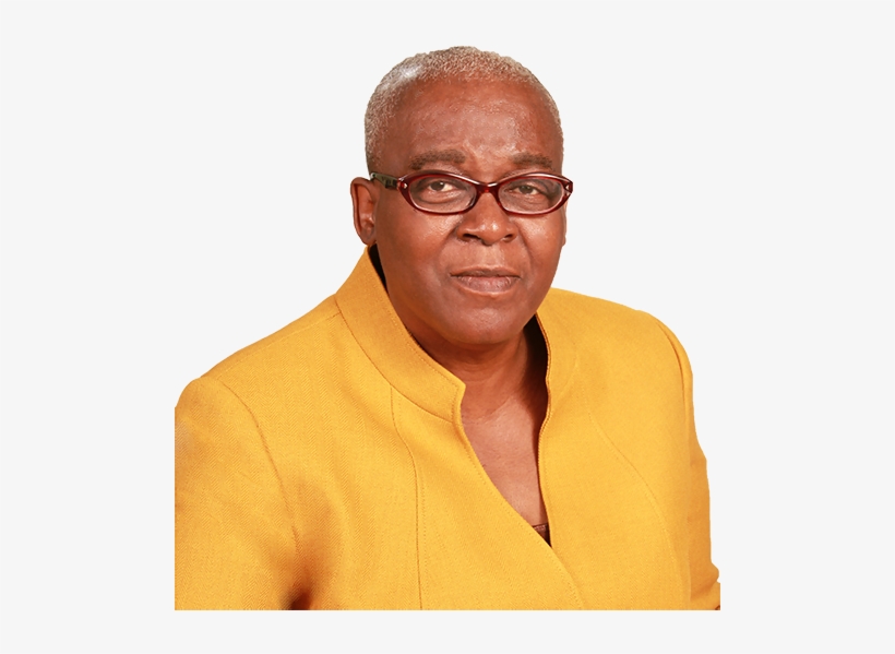 Antoinette Skelton Director - Antoinette Skelton Bvi, transparent png #3366882