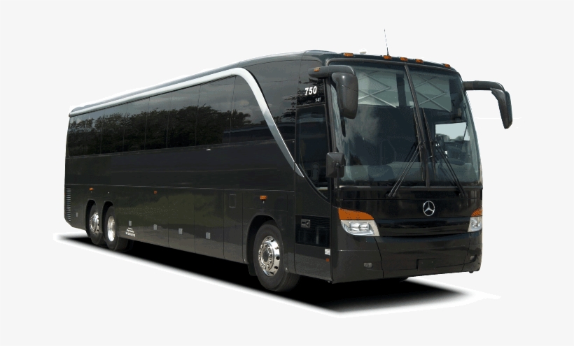 56 Coach Bus - Dynamic Tours & Transportation, transparent png #3368269