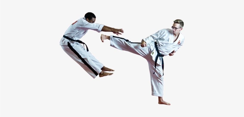 The Pickpocket Person Was In For A Shock When He Got - Brazilian Jiu Jitsu Kick, transparent png #3368740