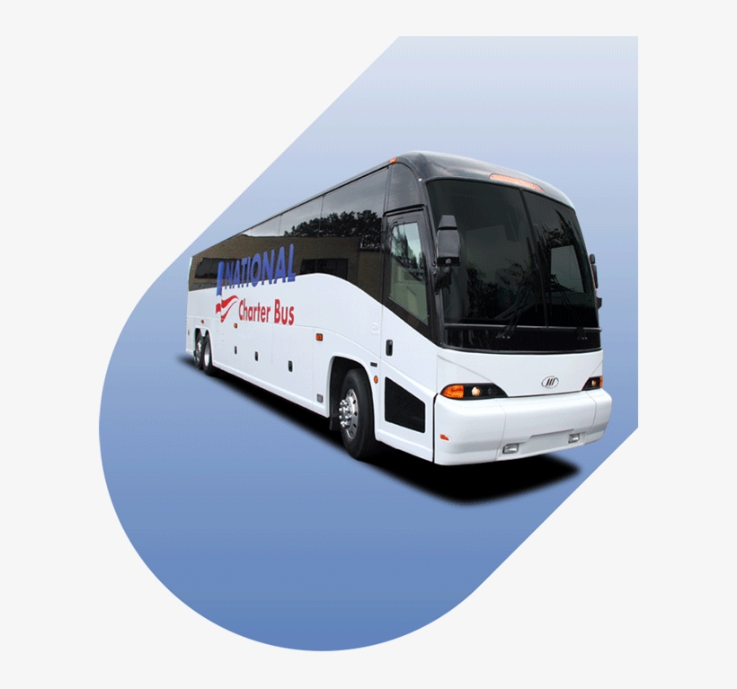 Want To Learn More About What To Expect When You Book - Road Transportation, transparent png #3368852