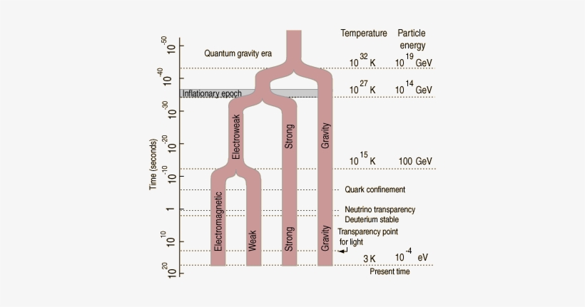 Proposed Energies And Temperatures Associated With - Fundamental Forces, transparent png #3369468