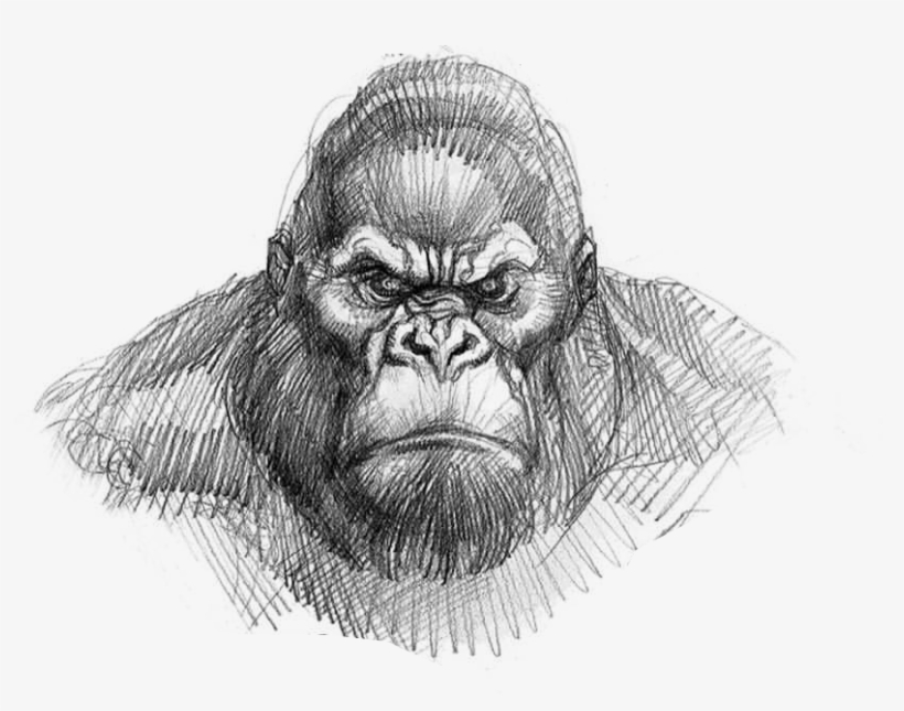 King Kong Drawing Easy, transparent png #3370061