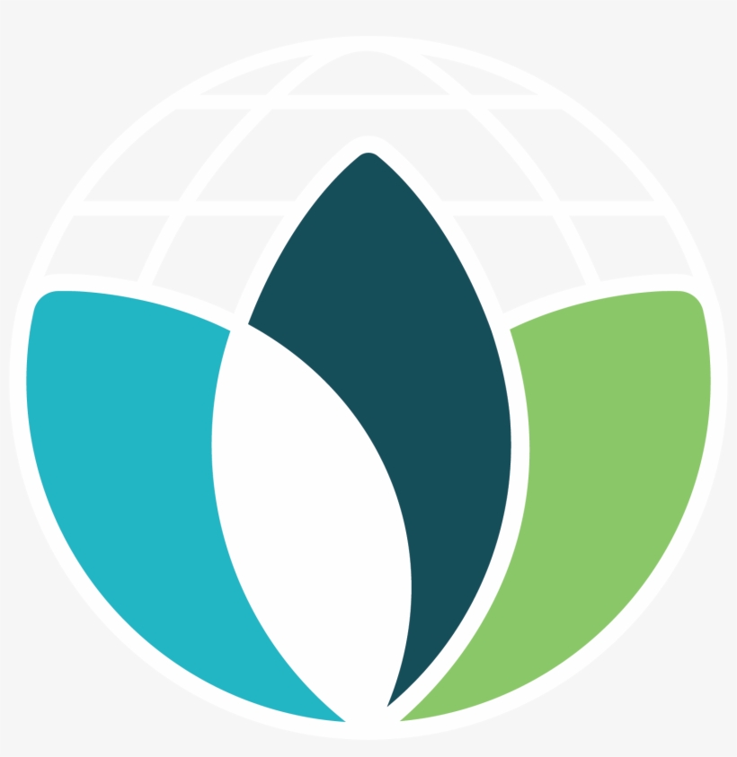 Color Logo With White Outline - Cornell University, transparent png #3370098