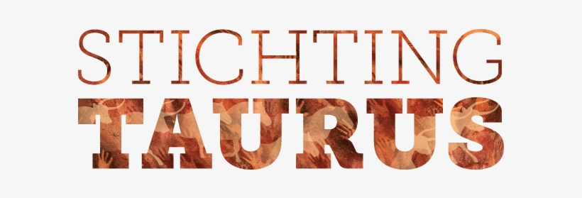 At The End Of August A Group Of Eight Tauros Cattle - Stichting Taurus, transparent png #3370485