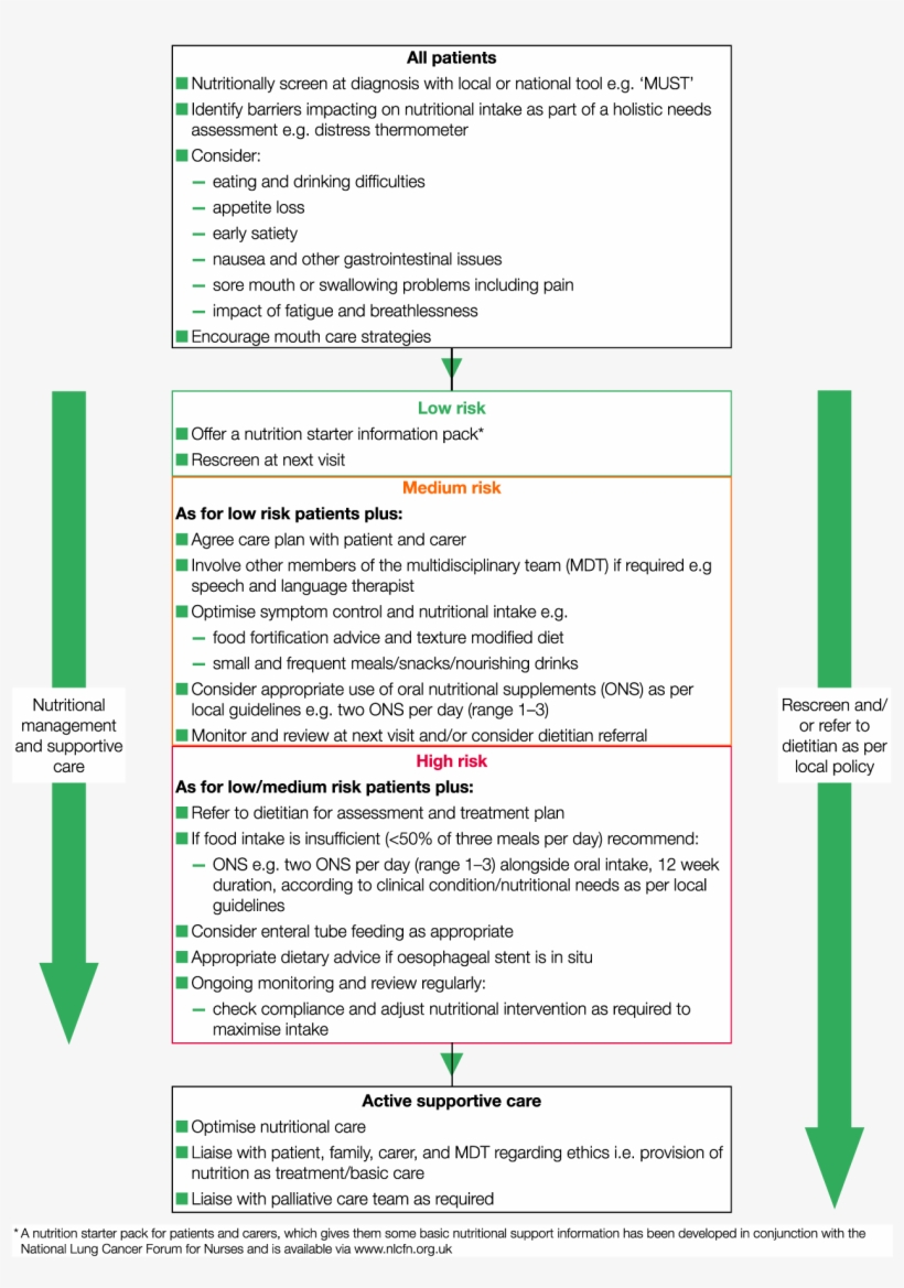 Bapen Lung Cancer Nutritional Care Guideline - Lung Cancer, transparent png #3370750