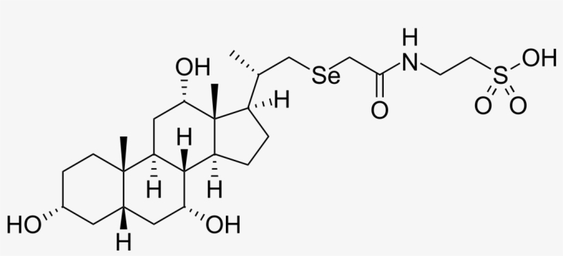 Tauro Alpha Muricholic Acid, transparent png #3370751