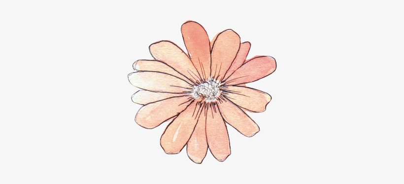 Daisy Tumblr Banner Download - Watercolor Flowers Tumblr Png, transparent png #3371663