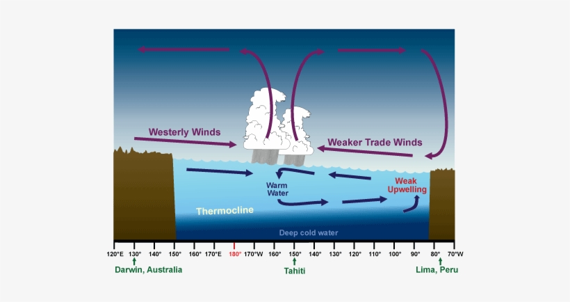 El Niño Conditions - Normal El Nino And La Nina, transparent png #3373055