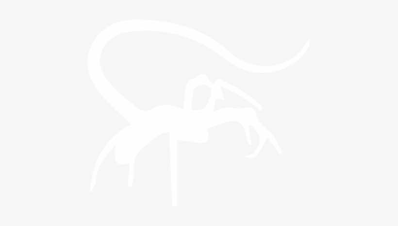 The Facehugger Is The Second Stage Of The Xenomorph's - Insect, transparent png #3373659