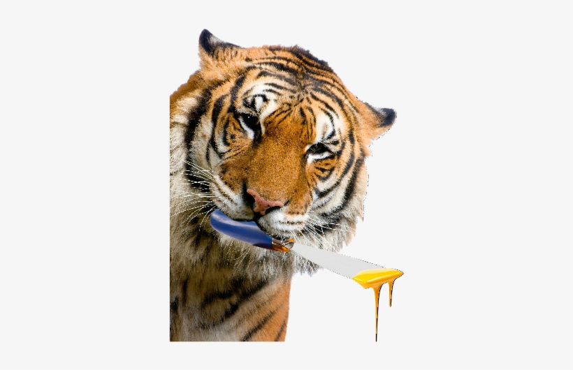 Tigre - Тигр Пнг, transparent png #3374602