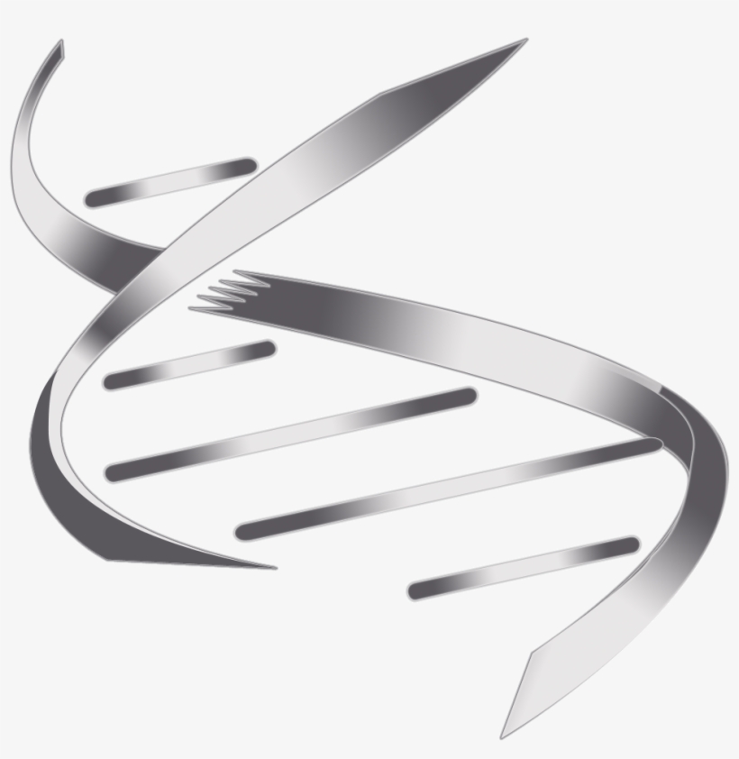 Dbi Helix Trans - Dna Helix, transparent png #3374691