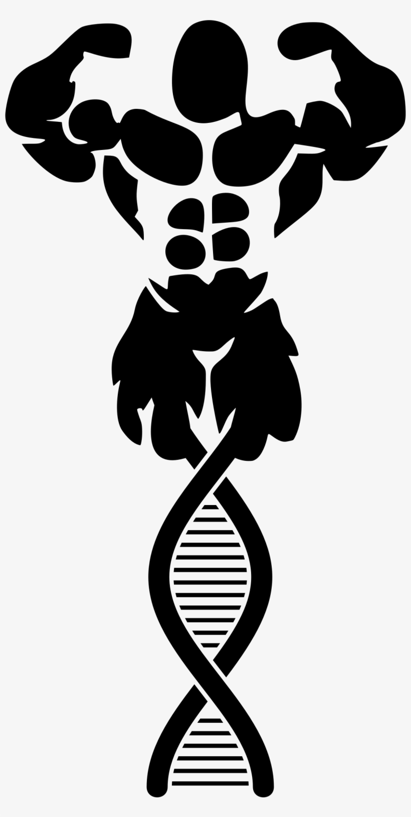 Big Image - Logos De Fisicoculturismo Y Fitness, transparent png #3374907
