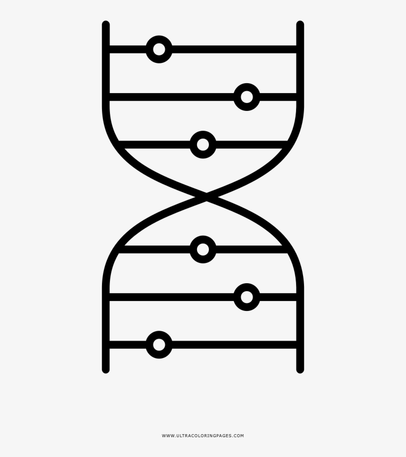 Dna Helix Coloring Page - Drawing, transparent png #3375013