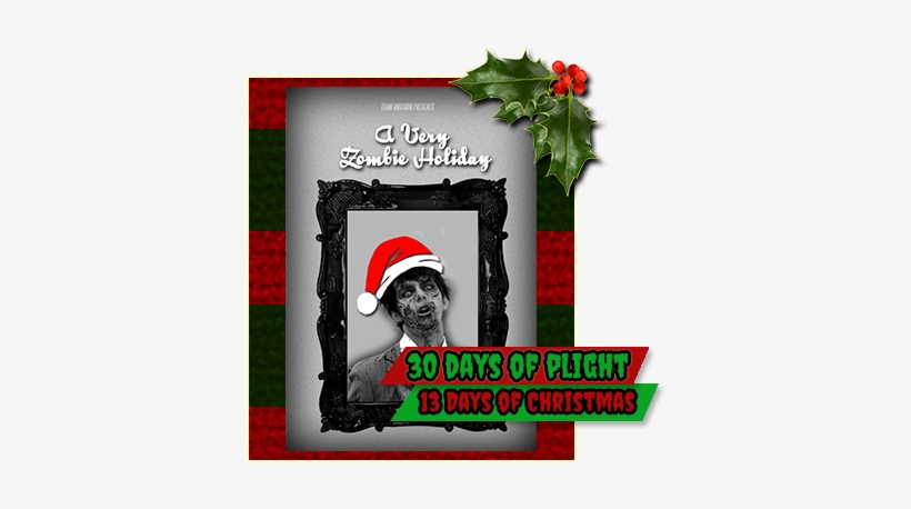 13 Days Of Christmas Day - Picture Frame, transparent png #3375039