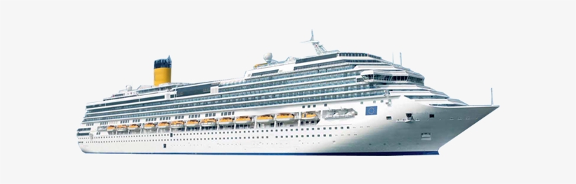 3 Black White Label Premium Plastic Flasks Liquor Rum, transparent png #3377014