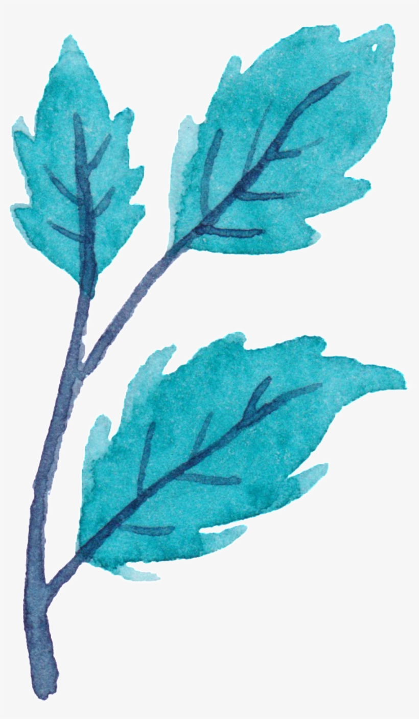 Fresh Leaves Decoratives - My Notebook: Unlined Notebook - Large (8. 5 X 11 Inches), transparent png #3377193