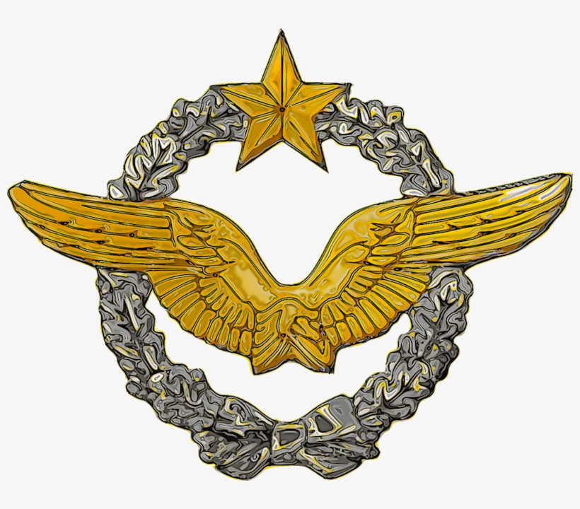 French Af Pilot Wings - French Military Pilot Wings, transparent png #3377214