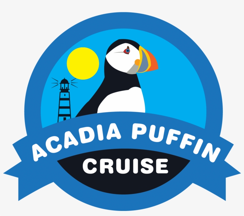 Acadia Puffin Cruise - Puffin, transparent png #3377240