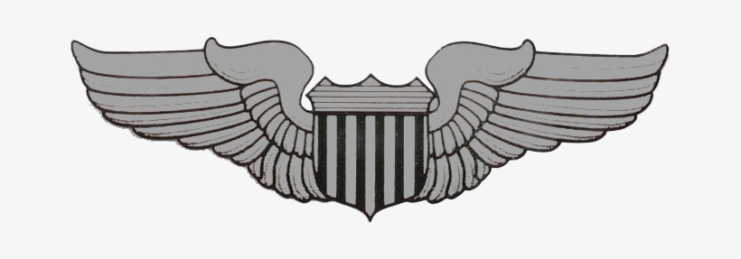 Usaf Pilot Training Post-graduation Checklist *infographic* - Usaf Pilot Wings Decal, transparent png #3377931