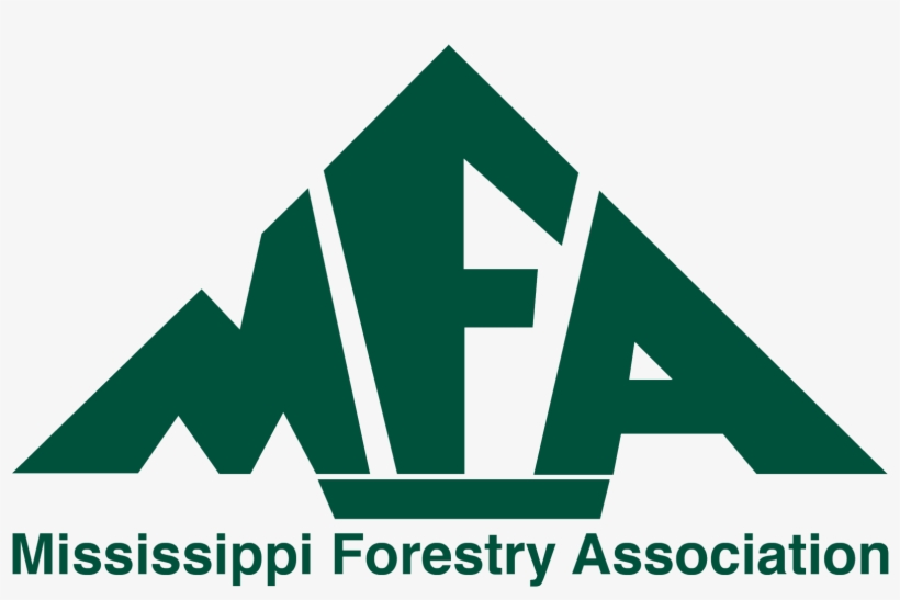 About Mississippi Forestry Foundation - Mississippi Forestry Association, transparent png #3377995