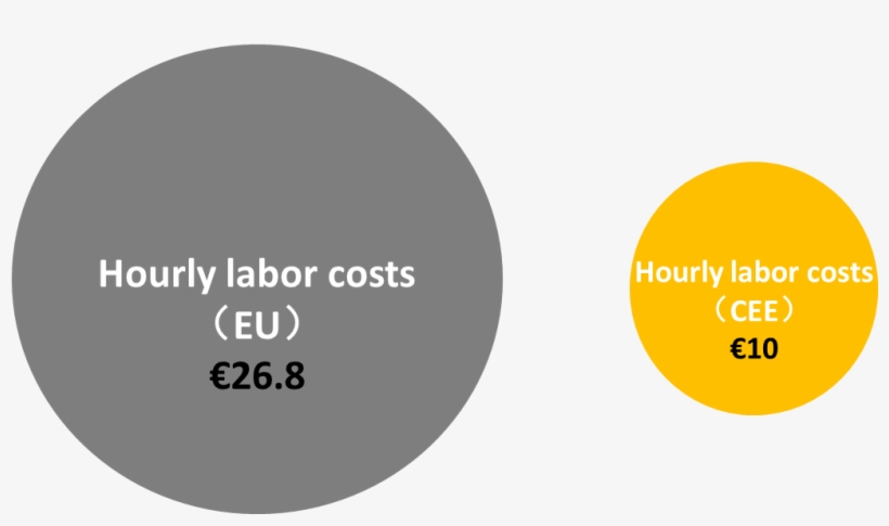 Ey Analysis - Circle, transparent png #3378769