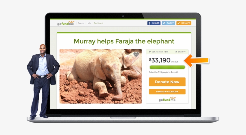 75-150 Tweets To Kick Start Your Campaign - African Elephant, transparent png #3379546