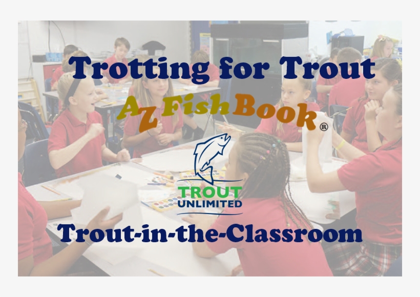 Make A Donation - Trout, transparent png #3379574