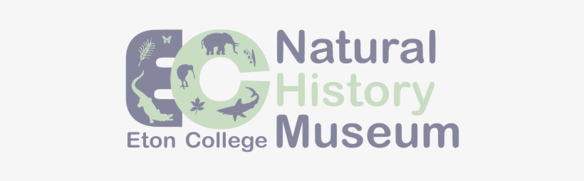 Etonnhm - Natural Way To Fat Loss: This Book Provides You The, transparent png #3380321