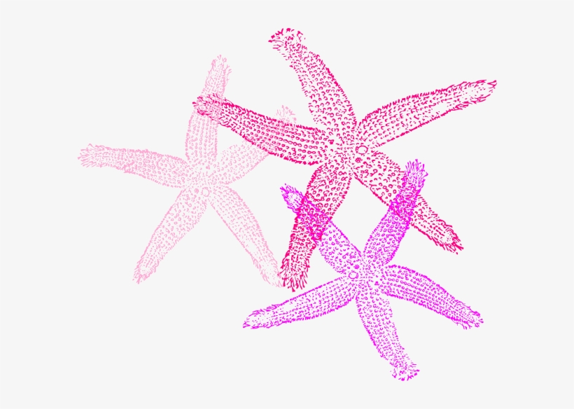 Small - Fish Clip Art, transparent png #3380484