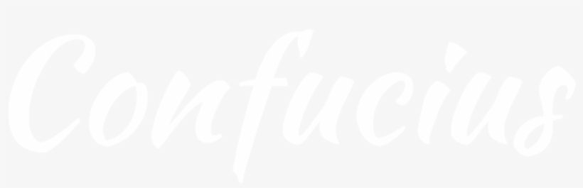 Jetimpex © Privacy Policy - Precious Puppies: Adult Coloring Book For Relaxation, transparent png #3380578