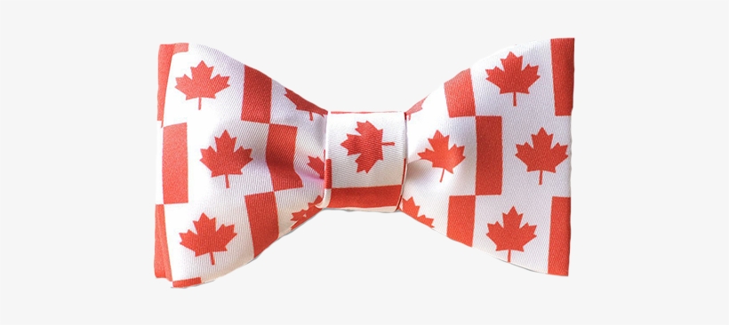 Canada Flag Maple Leaf Png For Kids - Canada Flag, transparent png #3381000
