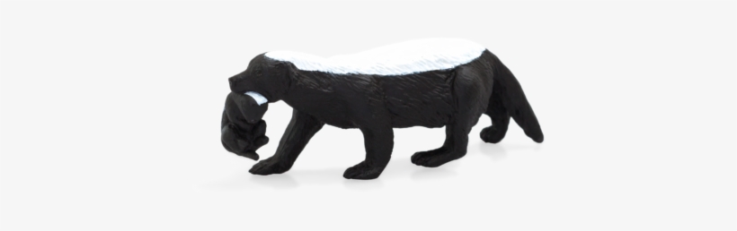 Honey Badger Female With Cub - Honey Badger, transparent png #3381376