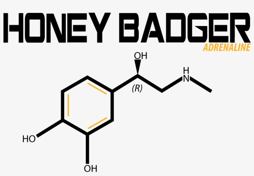 Modern, Professional, Fitness T-shirt Design For Honey - Diagram, transparent png #3381616