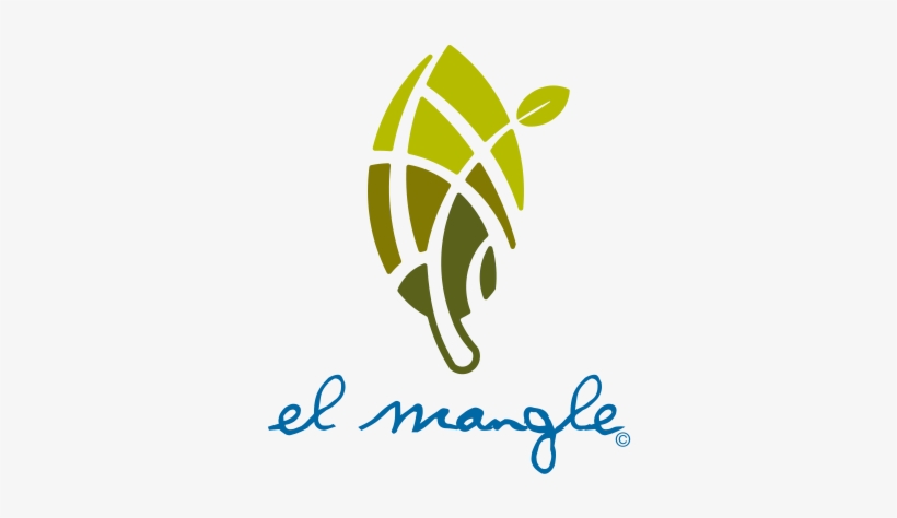 Aqui El Mangle C - Graphic Design, transparent png #3382093