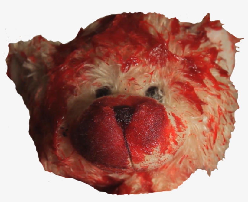 Bear, transparent png #3382794