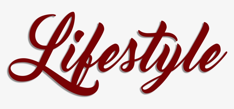 The Importance Of The Muslim Lifestyle And Community - Blank Book Journal: Cupcake Dessert Zentangle Cover, transparent png #3384815